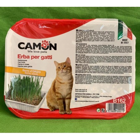 ERBA PER GATTI semi d'orzo