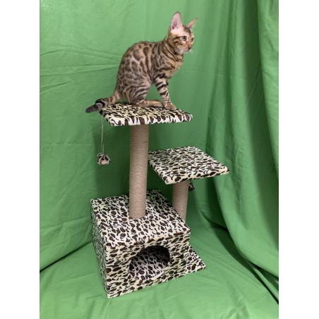 TIRAGRAFFI LEOPARDATO alto cm 71