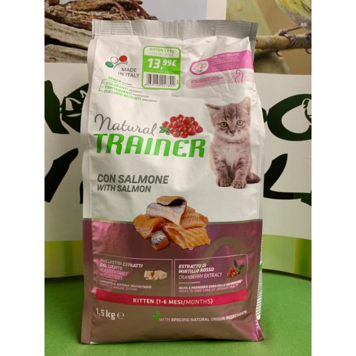 KITTEN SALMONE 1.5kg