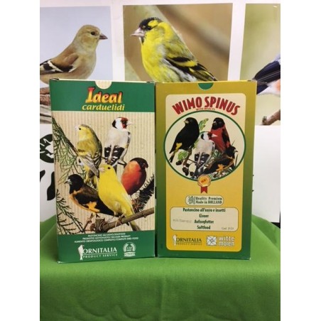 OFFERTA IDEAL CARDUELIDI+WIMO SPINUS