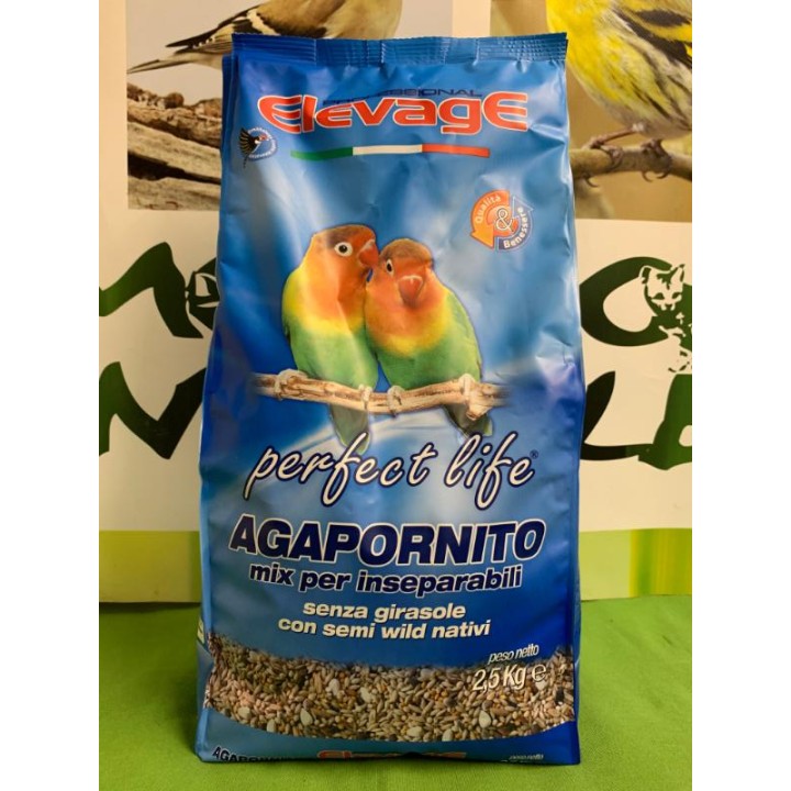 AGAPORNITO Senza Girasole conf. 2,5kg