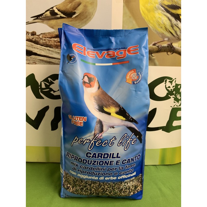 CARDILL RIPRODUZIONE E CANTO 2.5kg