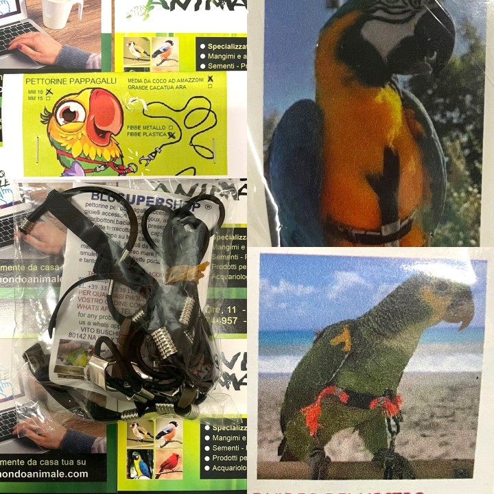 PETTORINE PAPPAGALLI Taglia MEDIA / GRANDE cliccare sulla foto per la taglia