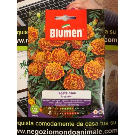 TAGETE ROSSO BRONZATO