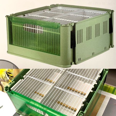 OFFERTA TINO + COPERCHIO