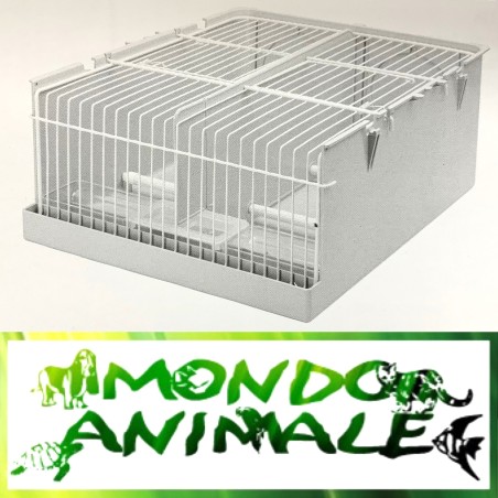 INTERNO COMPLETO DEL TINO