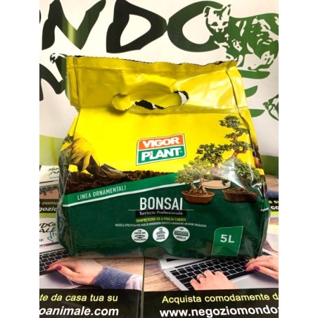 BONSAI 5L