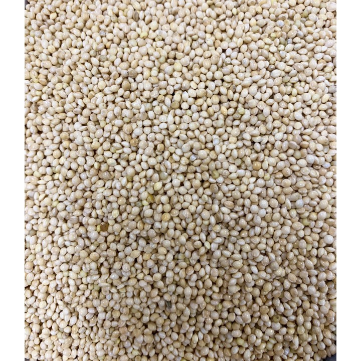 MIGLIO BIANCO conf.1kg