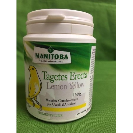 TAGETES ERECTA Lemon Yellow  conf.150gr